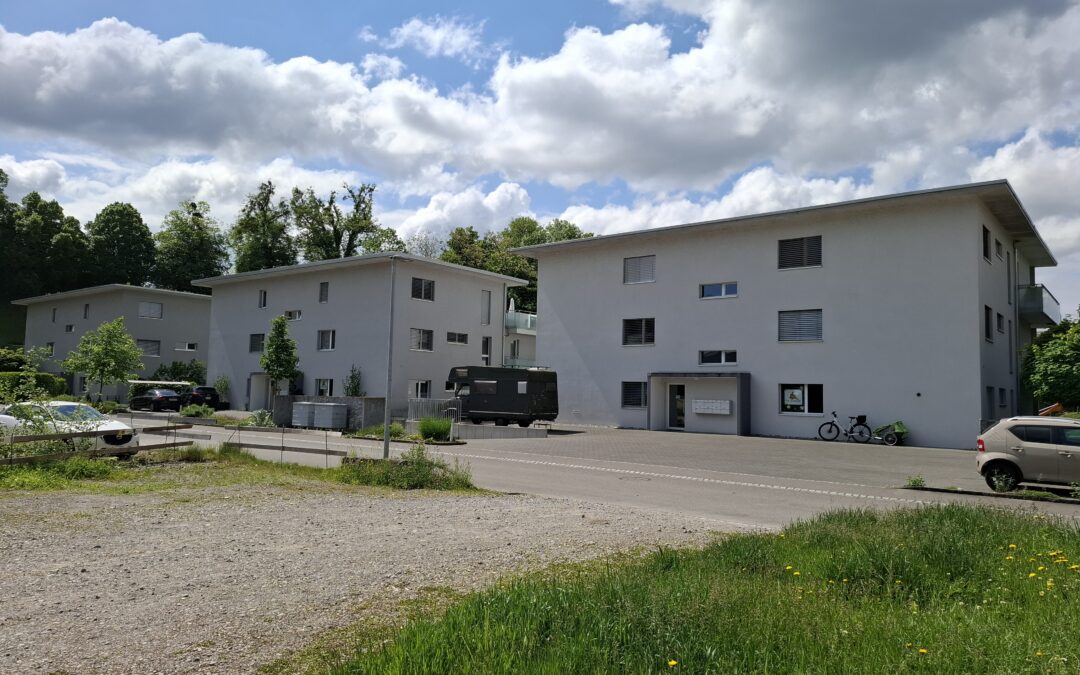 3 MFH Hornimattstrasse, Wildegg