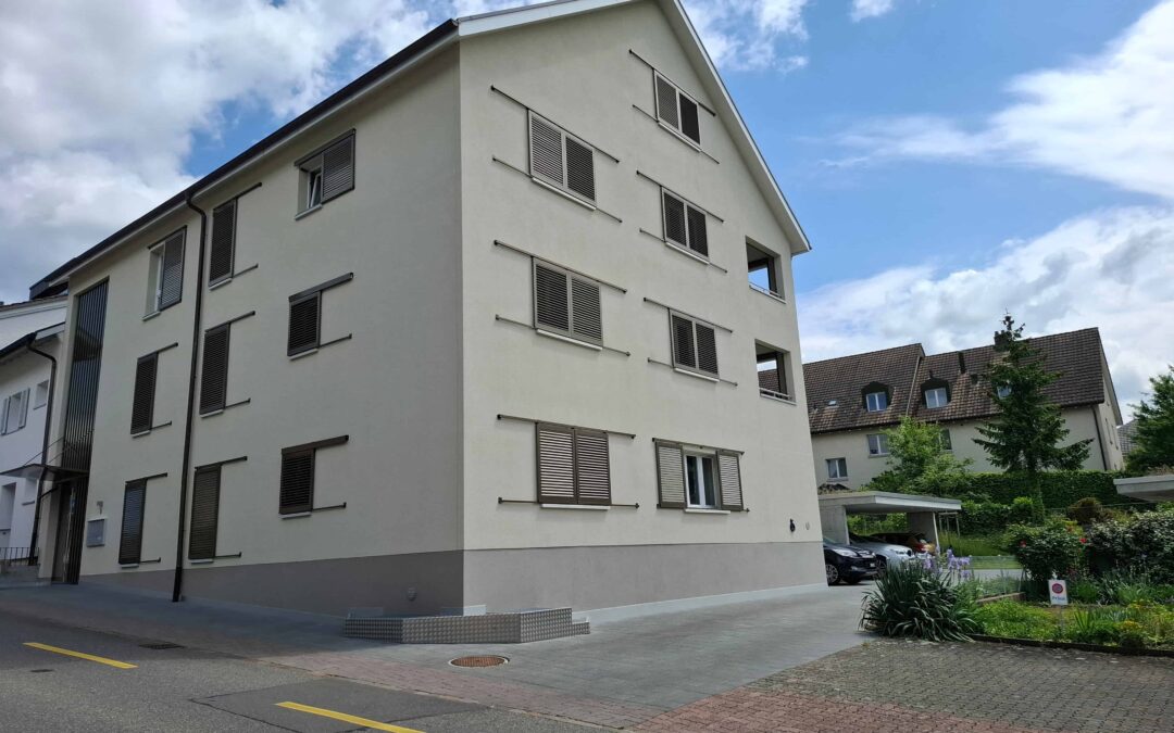 MFH Steinbrunnengasse, Seengen